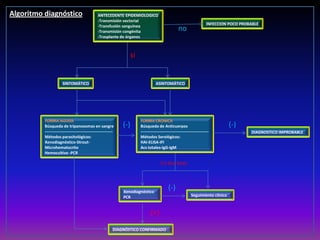 ANTECEDENTE EPIDEMIOLOGICO
-Transmisión vectorial
-Transfusión sanguínea
-Transmisión congénita
-Trasplante de órganos
INFECCION POCO PROBABLE
SINTOMÁTICO ASINTOMÁTICO
FORMA AGUDA
Búsqueda de tripanosomas en sangre
---------------------------------------------------
Métodos parasitológicos:
Xenodiagnóstico-Strout-
Microhematocrito
Hemocultivo -PCR
FORMA CRONICA
Búsqueda de Anticuerpos
---------------------------------------------------
Métodos Serológicos:
HAI-ELISA-IFI
Acs totales-IgG-IgM
DIAGNOSTICO IMPROBABLE
Xenodiagnóstico
PCR Seguimiento clínico
DIAGNÓSTICO CONFIRMADO
no
si
(-) (-)
(+) dos tests
(-)
(+)
Algoritmo diagnóstico
 