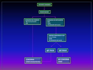 GESTANTE CHAGÁSICA
RECIEN NACIDO
BUSQUEDA DEL PARÁSITO
-Microconcentración
-PCR
BUSQUEDA DE ANTICUERPOS
(IgG)
-ELISA
-IFI (titulación del suero)
CONTROL SEROLÓGICO A LOS
3, 6 y 9 meses
-ELISA
-IFI (titulación del suero)
IgG >basal IgG ≤basal
NO CONFIRMA
CASO
CONFIRMA
CASO (tratamiento)
 