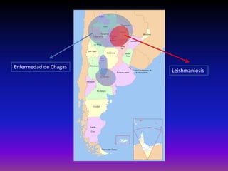 Enfermedad de Chagas
Leishmaniosis
 
