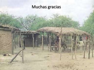 Muchas gracias
 