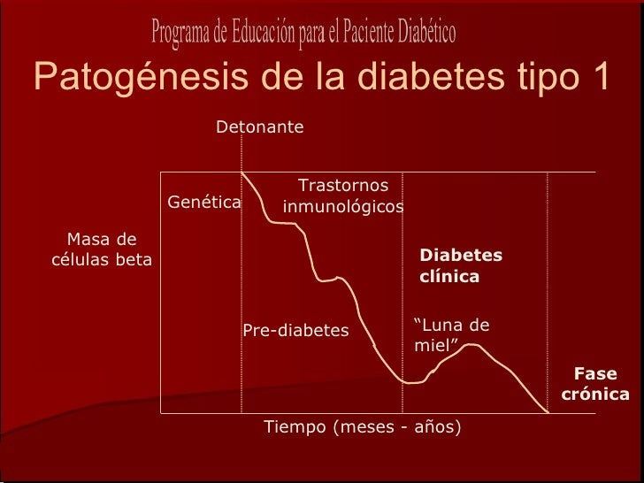 Diagnóstico, clasificación y prevención de la diabetes Diagnóstico, clasificación y prevención de la diabetes
