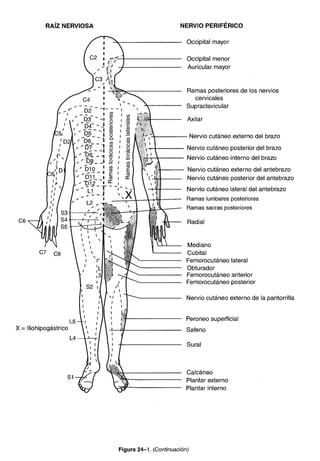 Diagnóstico clínico y_tratamiento