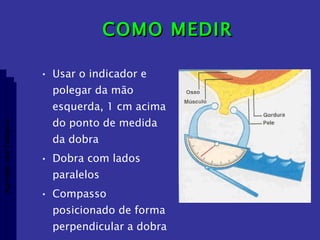 COMO MEDIR Usar o indicador e polegar da mão esquerda, 1 cm acima do ponto de medida da dobra Dobra com lados paralelos Compasso posicionado de forma perpendicular a dobra Aptidão morfológica 