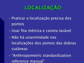 LOCALIZAÇÃO  Praticar a localização precisa dos pontos Usar fita métrica e caneta lavável Não há unanimidade nas localizações dos pontos das dobras cutâneas “ Anthropometric standardization reference manual” Aptidão morfológica 