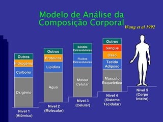 Wang et al 1992 Outros Hidrogênio Carbono Oxigênio Outros Proteínas Lipídios Água Sólidos Extracelulares Fluidos Extracelulares Massa Celular Outros Osso Tecido Adiposo Músculo Esquelético Sangue Nível 1 (Atômico) Nível 2 (Molecular) Nível 3 (Celular) Nível 4 (Sistema Tecidular) Nível 5 (Corpo Inteiro) Modelo de Análise da Composição Corporal 