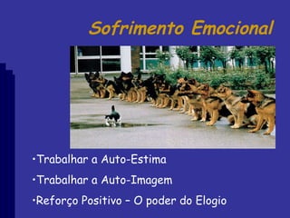 Trabalhar a Auto-Estima Trabalhar a Auto-Imagem Reforço Positivo – O poder do Elogio Sofrimento Emocional 