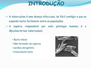 INTRODUÇÃO
 A tuberculose é uma doença infecciosa, de fácil contágio e que se
expande muito facilmente entre as populações.
 A espécie responsável por esta patologia humana é o
Mycobacterium tuberculosis.
• Bacilo imóvel
• Não formador de esporos
• aeróbia obrigatória
• Crescimento lento
 