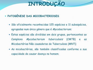 INTRODUÇÃO
 PATOGÉNESE DAS MICOBACTERIOSES
 São oficialmente reconhecidas 125 espécies e 11 subespécies,
agrupadas num único género que é Mycobacterium;
 Estas espécies são divididas em dois grupos, pertencentes ao
Complexo Mycobacterium tuberculosis (CMTB) e as
Micobactérias Não causadoras de Tuberculose (MNT);
 As micobactérias, são também classificadas conforme a sua
capacidade de causar doença no homem;
 