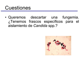 Queremos descartar una fungemia. ¿Tenemos frascos específicos para el aislamiento de  Candida  spp.? Cuestiones 