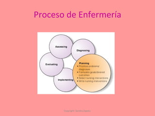 Proceso de Enfermería Copyright: Sandra Zapata  