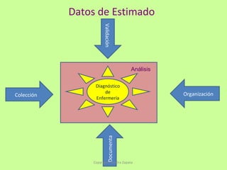 Datos de Estimado Colección Validación Documenta Organización Diagnóstico de Enfermería Análisis Copyright: Sandra Zapata  