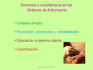 Dominios a considerarse en las  Órdenes de Enfermería Copyright: Sandra Zapata  Cuidado directo Promoción, prevención y rehabilitación Educación a sistema cliente Coordinación 