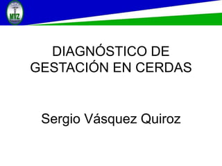 Sergio Vásquez Quiroz
DIAGNÓSTICO DE
GESTACIÓN EN CERDAS
 