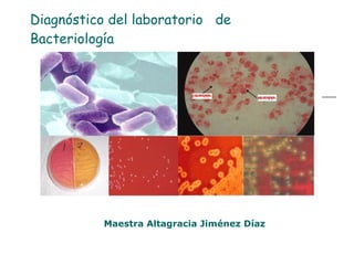 Diagnóstico del laboratorio  de  Bacteriología Maestra Altagracia Jiménez Díaz 