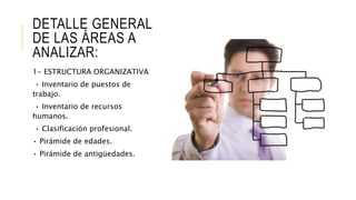 DETALLE GENERAL
DE LAS ÁREAS A
ANALIZAR:
1- ESTRUCTURA ORGANIZATIVA
• Inventario de puestos de
trabajo.
• Inventario de recursos
humanos.
• Clasificación profesional.
• Pirámide de edades.
• Pirámide de antigüedades.
 