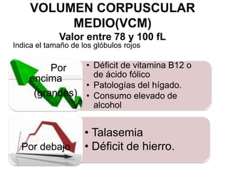 VOLUMEN CORPUSCULAR MEDIO(VCM)Valor entre 78 y 100 fLIndica el tamaño de los glóbulos rojos