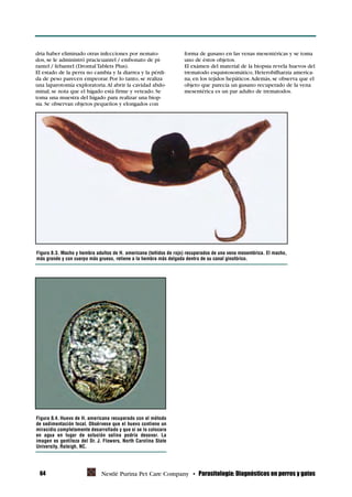 diagnóstico en parasitología veterinaria.pdf