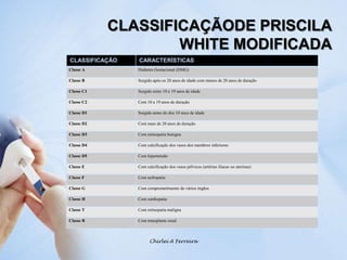 CLASSIFICAÇÃODE PRISCILA WHITE MODIFICADAChirlei A Ferreira