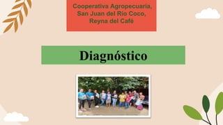 Cooperativa Agropecuaria,
San Juan del Río Coco,
Reyna del Café
Diagnóstico
 