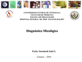 UNIVERSIDAD CENTRAL DE VENEZUELA
FACULTAD DE MEDICINA
ESCUELA DE BIOANÁLISIS
HOSPTIAL GENERAL “Dr. JOSÉ IGNACIO BALDÓ“
Diagnóstico Micológico
Profa. Yotsabeth Saúl G.
Caracas - 2016
 