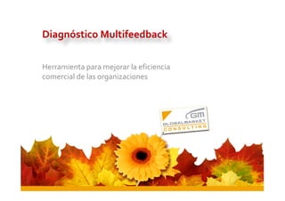 Diagnóstico Multifeedback

Herramienta para mejorar la eficiencia
comercial de las organizaciones




                                         1
 