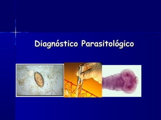 Diagnóstico Parasitológico
 