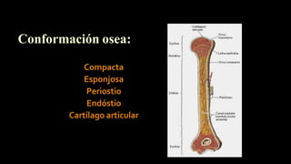 Comprehensive Imaging Diagnostics of the Musculoskeletal System | PDF