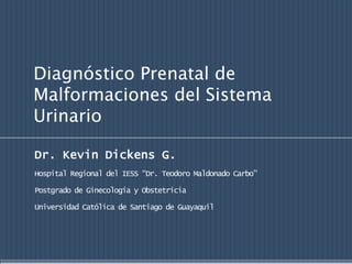 Diagnóstico Prenatal de
Malformaciones del Sistema
Urinario

Dr. Kevin Dickens G.
Hospital Regional del IESS “Dr. Teodoro Maldonado Carbo”

Postgrado de Ginecología y Obstetricia

Universidad Católica de Santiago de Guayaquil
 