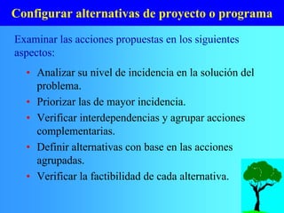 Configurar alternativas de proyecto o programa
• Analizar su nivel de incidencia en la solución del
problema.
• Priorizar las de mayor incidencia.
• Verificar interdependencias y agrupar acciones
complementarias.
• Definir alternativas con base en las acciones
agrupadas.
• Verificar la factibilidad de cada alternativa.
Examinar las acciones propuestas en los siguientes
aspectos:
 
