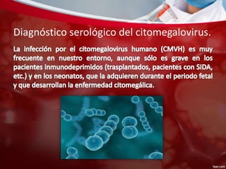 Diagnóstico serológico del citomegalovirus. 
 
