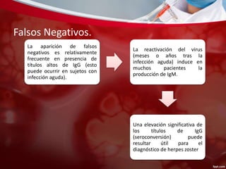 Falsos Negativos. 
La aparición de falsos 
negativos es relativamente 
frecuente en presencia de 
títulos altos de IgG (esto 
puede ocurrir en sujetos con 
infección aguda). 
La reactivación del virus 
(meses o años tras la 
infección aguda) induce en 
muchos pacientes la 
producción de IgM. 
Una elevación significativa de 
los títulos de IgG 
(seroconversión) puede 
resultar útil para el 
diagnóstico de herpes zoster 
 