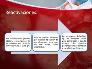 Reactivaciones. 
Las reactivaciones (herpes 
zóster), se acompañan de 
un aumento del título de 
anticuerpos de la clase IgG 
Que se pueden detectar 
por técnicas de fijación de 
complemento, pero que 
no son útiles como 
diagnóstico. 
Los anticuerpos de la clase 
IgG se detectan sobre 
para comprobar el estado 
inmune de aquellos 
pacientes que se someten 
a trasplante de órganos. 
 