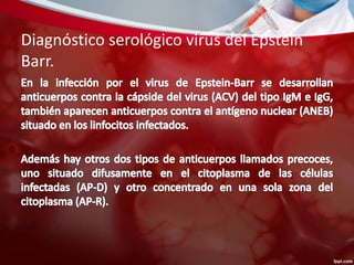Diagnóstico serológico virus del Epstein 
Barr. 
 