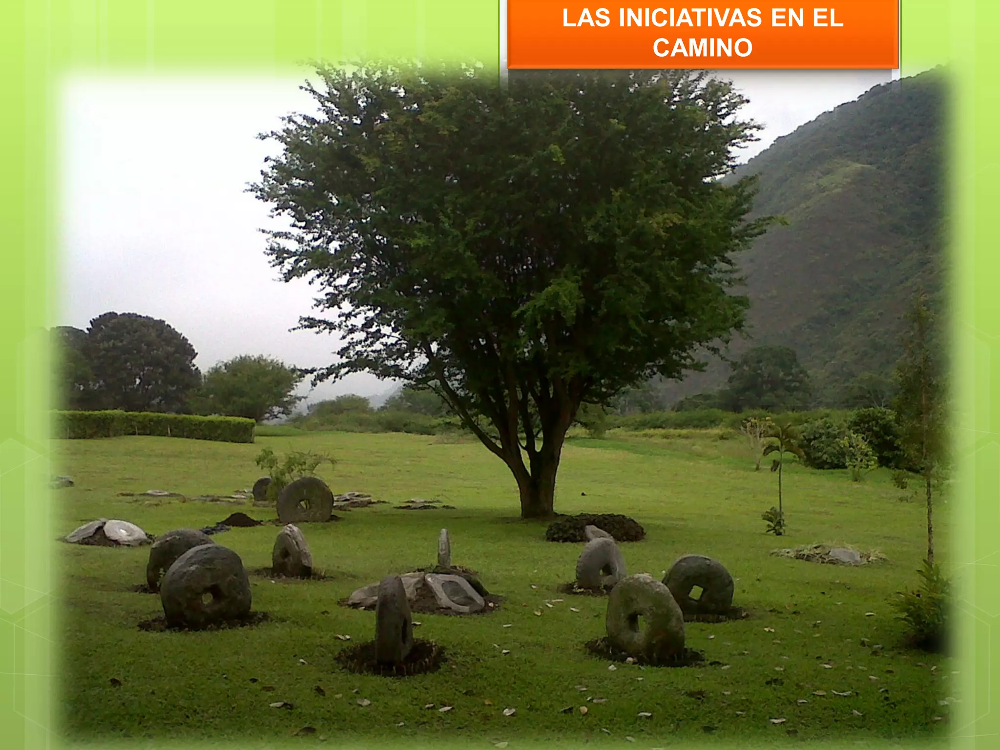 LAS INICIATIVAS EN EL
CAMINO
 