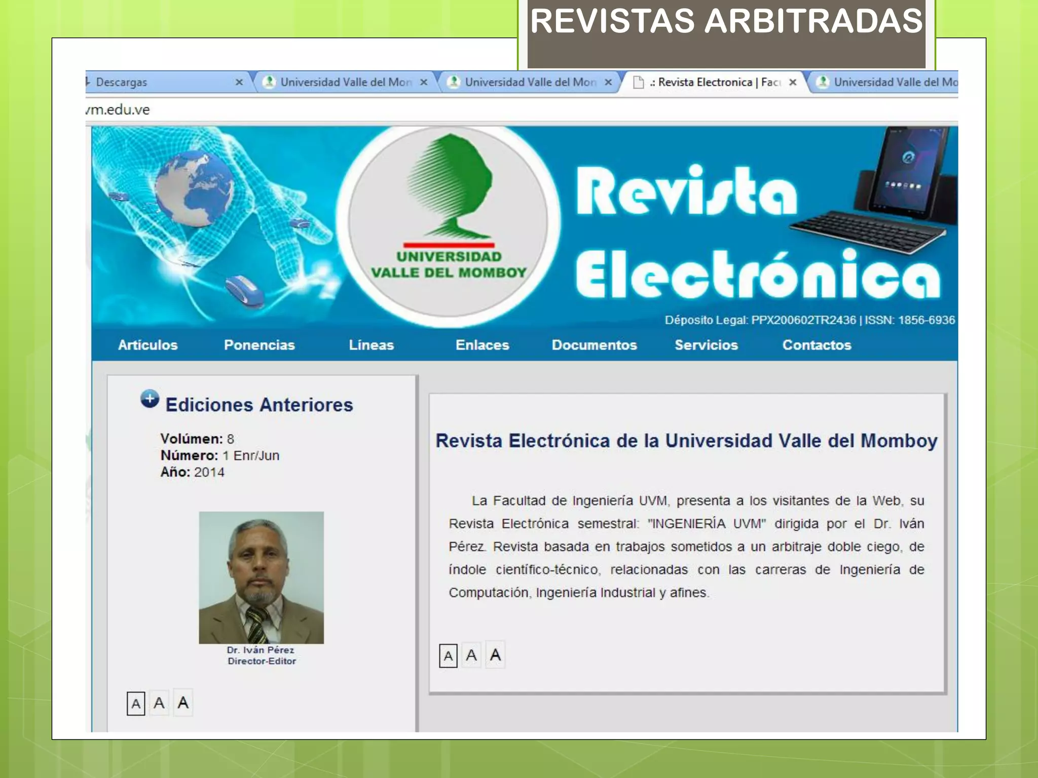 REVISTAS ARBITRADAS
 