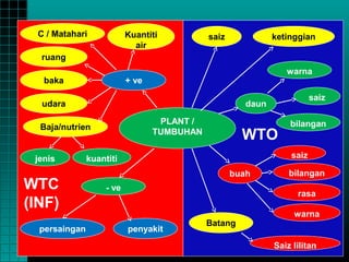 C / Matahari              Kuantiti          saiz             ketinggian
                             air
  ruang
                                                                 warna
   baka                    + ve
                                                                         saiz
  udara                                                daun

                                   PLANT /                        bilangan
  Baja/nutrien
                                  TUMBUHAN
                                                      WTO
 jenis         kuantiti                                           saiz

                                                    buah          bilangan
WTC                 - ve
                                                                    rasa
(INF)
                                                                   warna
                                             Batang
  persaingan               penyakit
                                                              Saiz lilitan
 