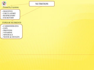 NUTRITION
Formed by 4 systems:
.- DIGESTIVE
.- CIRCULATORY
.- RESPIRATORY
.- EXCRETORY
TYPES OF NUTRIENTS
.- CARBOHIDRATES
.- FATS
.- PROTEINS
.- VITAMINS
.- MINERALS
.- WATER & OXYGEN
 