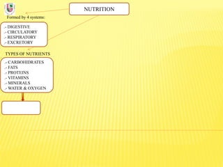 NUTRITION
Formed by 4 systems:
.- DIGESTIVE
.- CIRCULATORY
.- RESPIRATORY
.- EXCRETORY
TYPES OF NUTRIENTS
.- CARBOHIDRATES
.- FATS
.- PROTEINS
.- VITAMINS
.- MINERALS
.- WATER & OXYGEN
 