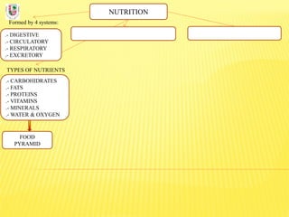 NUTRITION
Formed by 4 systems:
.- DIGESTIVE
.- CIRCULATORY
.- RESPIRATORY
.- EXCRETORY
TYPES OF NUTRIENTS
.- CARBOHIDRATES
.- FATS
.- PROTEINS
.- VITAMINS
.- MINERALS
.- WATER & OXYGEN
FOOD
PYRAMID
 