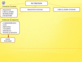NUTRITION
Formed by 4 systems:
.- DIGESTIVE
.- CIRCULATORY
.- RESPIRATORY
.- EXCRETORY
DIGESTIVE SYSTEM
TYPES OF NUTRIENTS
.- CARBOHIDRATES
.- FATS
.- PROTEINS
.- VITAMINS
.- MINERALS
.- WATER & OXYGEN
CIRCULATORY SYSTEM
FOOD
PYRAMID
 
