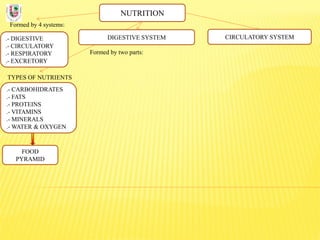 NUTRITION
Formed by 4 systems:
.- DIGESTIVE
.- CIRCULATORY
.- RESPIRATORY
.- EXCRETORY
DIGESTIVE SYSTEM
TYPES OF NUTRIENTS
.- CARBOHIDRATES
.- FATS
.- PROTEINS
.- VITAMINS
.- MINERALS
.- WATER & OXYGEN
Formed by two parts:
CIRCULATORY SYSTEM
FOOD
PYRAMID
 