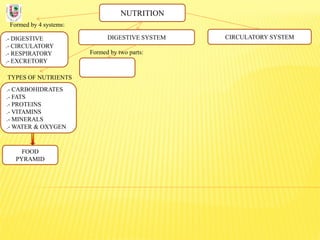 NUTRITION
Formed by 4 systems:
.- DIGESTIVE
.- CIRCULATORY
.- RESPIRATORY
.- EXCRETORY
DIGESTIVE SYSTEM
TYPES OF NUTRIENTS
.- CARBOHIDRATES
.- FATS
.- PROTEINS
.- VITAMINS
.- MINERALS
.- WATER & OXYGEN
Formed by two parts:
CIRCULATORY SYSTEM
FOOD
PYRAMID
 