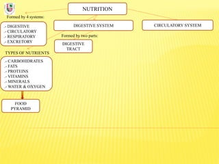 NUTRITION
Formed by 4 systems:
.- DIGESTIVE
.- CIRCULATORY
.- RESPIRATORY
.- EXCRETORY
DIGESTIVE SYSTEM
TYPES OF NUTRIENTS
.- CARBOHIDRATES
.- FATS
.- PROTEINS
.- VITAMINS
.- MINERALS
.- WATER & OXYGEN
Formed by two parts:
DIGESTIVE
TRACT
CIRCULATORY SYSTEM
FOOD
PYRAMID
 
