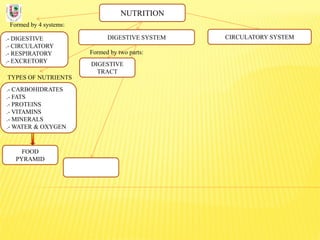 NUTRITION
Formed by 4 systems:
.- DIGESTIVE
.- CIRCULATORY
.- RESPIRATORY
.- EXCRETORY
DIGESTIVE SYSTEM
TYPES OF NUTRIENTS
.- CARBOHIDRATES
.- FATS
.- PROTEINS
.- VITAMINS
.- MINERALS
.- WATER & OXYGEN
Formed by two parts:
DIGESTIVE
TRACT
CIRCULATORY SYSTEM
FOOD
PYRAMID
 