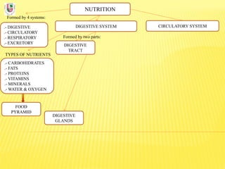 NUTRITION
Formed by 4 systems:
.- DIGESTIVE
.- CIRCULATORY
.- RESPIRATORY
.- EXCRETORY
DIGESTIVE SYSTEM
TYPES OF NUTRIENTS
.- CARBOHIDRATES
.- FATS
.- PROTEINS
.- VITAMINS
.- MINERALS
.- WATER & OXYGEN
Formed by two parts:
DIGESTIVE
TRACT
CIRCULATORY SYSTEM
DIGESTIVE
GLANDS
FOOD
PYRAMID
 