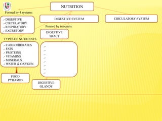 NUTRITION
Formed by 4 systems:
.- DIGESTIVE
.- CIRCULATORY
.- RESPIRATORY
.- EXCRETORY
DIGESTIVE SYSTEM
TYPES OF NUTRIENTS
.- CARBOHIDRATES
.- FATS
.- PROTEINS
.- VITAMINS
.- MINERALS
.- WATER & OXYGEN
Formed by two parts:
DIGESTIVE
TRACT
CIRCULATORY SYSTEM
DIGESTIVE
GLANDS
.-
.-
.-
.-
.-
.-
.-
.-
FOOD
PYRAMID
 