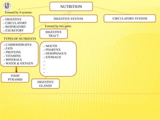 NUTRITION
Formed by 4 systems:
.- DIGESTIVE
.- CIRCULATORY
.- RESPIRATORY
.- EXCRETORY
DIGESTIVE SYSTEM
TYPES OF NUTRIENTS
.- CARBOHIDRATES
.- FATS
.- PROTEINS
.- VITAMINS
.- MINERALS
.- WATER & OXYGEN
Formed by two parts:
DIGESTIVE
TRACT
CIRCULATORY SYSTEM
DIGESTIVE
GLANDS
.- MOUTH
.- PHARYNX
.- OESOPHAGUS
.- STOMACH
.-
.-
.-
.-
FOOD
PYRAMID
 