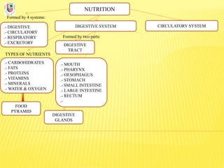 NUTRITION
Formed by 4 systems:
.- DIGESTIVE
.- CIRCULATORY
.- RESPIRATORY
.- EXCRETORY
DIGESTIVE SYSTEM
TYPES OF NUTRIENTS
.- CARBOHIDRATES
.- FATS
.- PROTEINS
.- VITAMINS
.- MINERALS
.- WATER & OXYGEN
Formed by two parts:
DIGESTIVE
TRACT
CIRCULATORY SYSTEM
DIGESTIVE
GLANDS
.- MOUTH
.- PHARYNX
.- OESOPHAGUS
.- STOMACH
.- SMALL INTESTINE
.- LARGE INTESTINE
.- RECTUM
.-
FOOD
PYRAMID
 