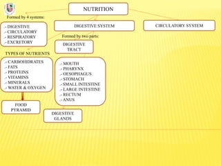NUTRITION
Formed by 4 systems:
.- DIGESTIVE
.- CIRCULATORY
.- RESPIRATORY
.- EXCRETORY
DIGESTIVE SYSTEM
TYPES OF NUTRIENTS
.- CARBOHIDRATES
.- FATS
.- PROTEINS
.- VITAMINS
.- MINERALS
.- WATER & OXYGEN
Formed by two parts:
DIGESTIVE
TRACT
CIRCULATORY SYSTEM
DIGESTIVE
GLANDS
.- MOUTH
.- PHARYNX
.- OESOPHAGUS
.- STOMACH
.- SMALL INTESTINE
.- LARGE INTESTINE
.- RECTUM
.- ANUS
FOOD
PYRAMID
 