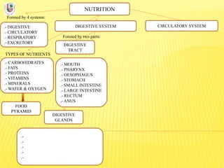 NUTRITION
Formed by 4 systems:
.- DIGESTIVE
.- CIRCULATORY
.- RESPIRATORY
.- EXCRETORY
DIGESTIVE SYSTEM
TYPES OF NUTRIENTS
.- CARBOHIDRATES
.- FATS
.- PROTEINS
.- VITAMINS
.- MINERALS
.- WATER & OXYGEN
Formed by two parts:
DIGESTIVE
TRACT
CIRCULATORY SYSTEM
DIGESTIVE
GLANDS
.- MOUTH
.- PHARYNX
.- OESOPHAGUS
.- STOMACH
.- SMALL INTESTINE
.- LARGE INTESTINE
.- RECTUM
.- ANUS
.-
.-
.-
.-
.-
FOOD
PYRAMID
 